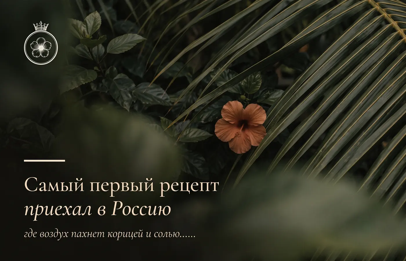 Голландские стены форта Галле у океана на закате
