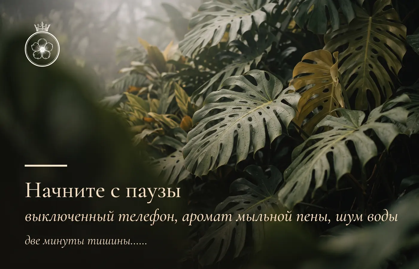 Вечернее очищение без спешки